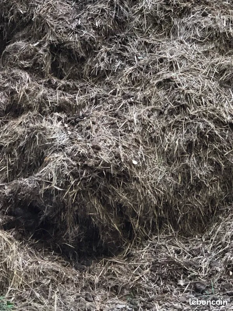 Fumier de cheval 0 Azas (31)