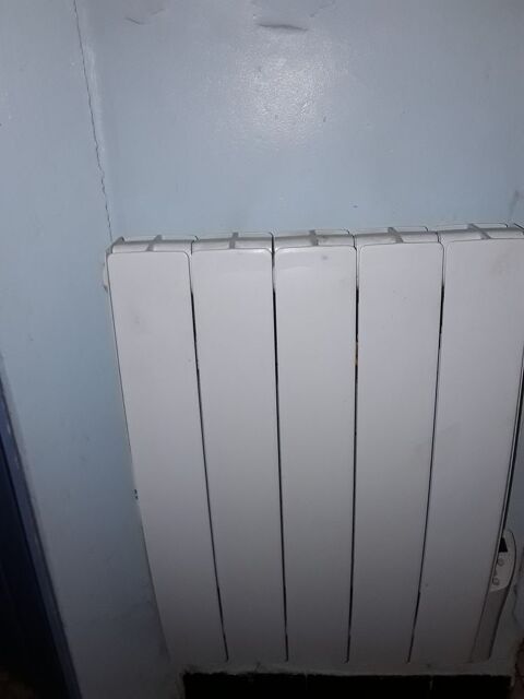 DEUX RADIATEURS ÉLECTRIQUES 1000 W    NEUFS NEUFS NEUFS 150 Mauzé-sur-le-Mignon (79)