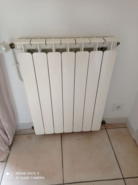 radiateurs fonte alu 540 Balma (31)