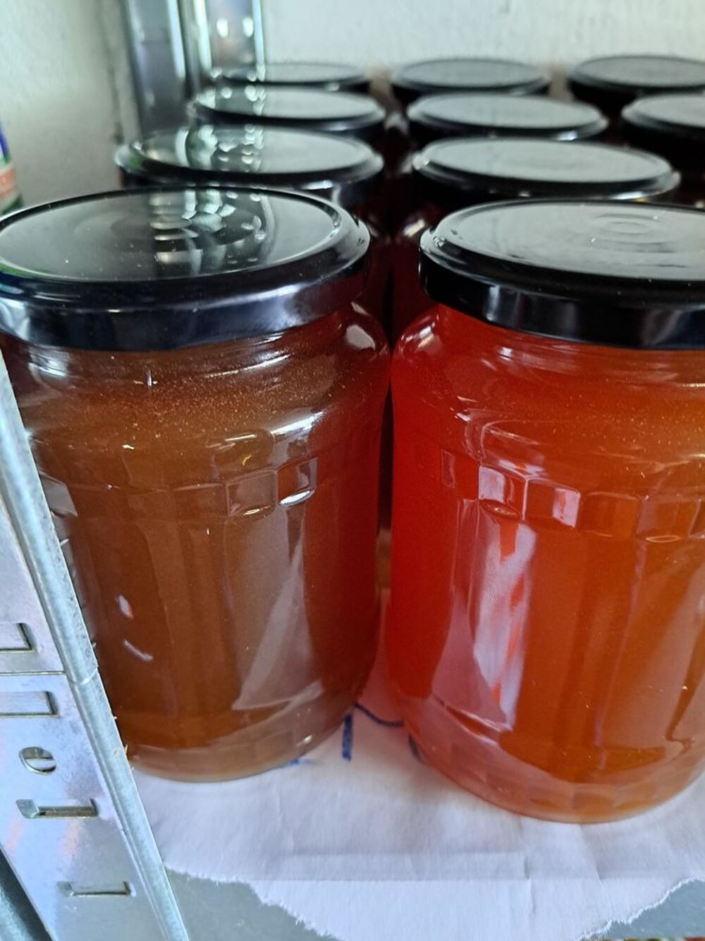 MIELS EN PRODUCTION LIMIT&Eacute;E POTS 1 KG Jardin