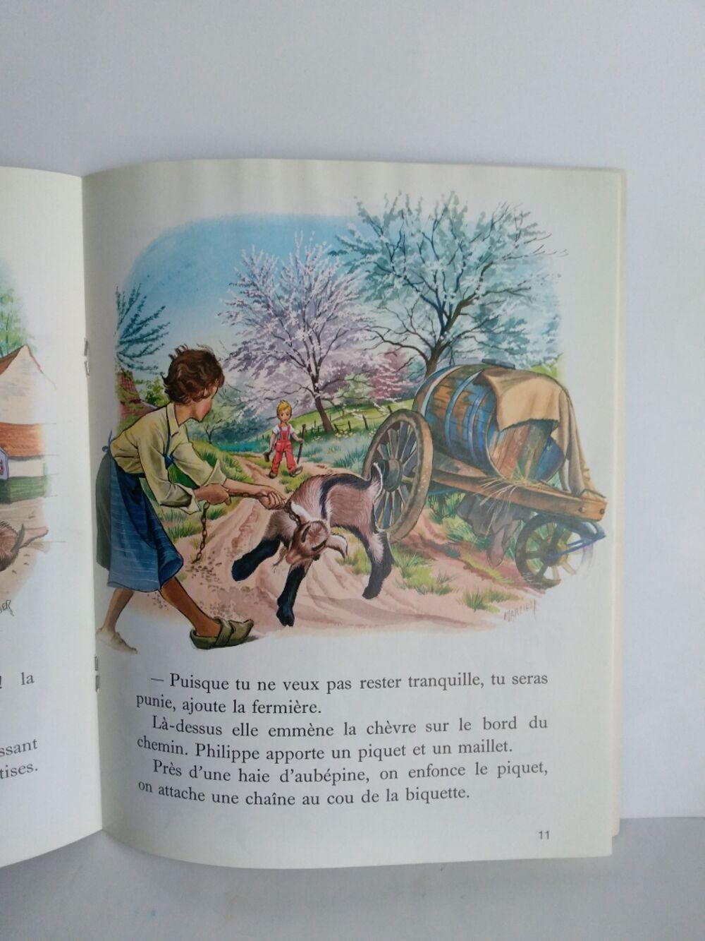 La petite ch&egrave;vre turbulente Livres et BD