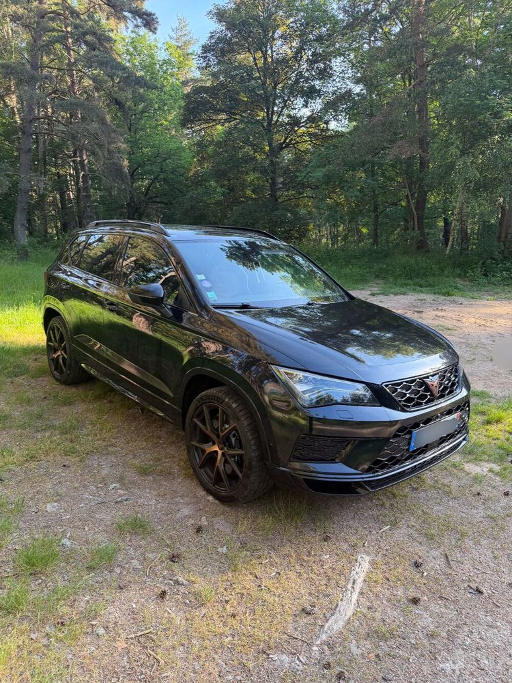 Ateca 2.0 TSI 300ch DSG7 4Drive 2019 occasion 48200 Saint-Ch&eacute;ly-d'Apcher