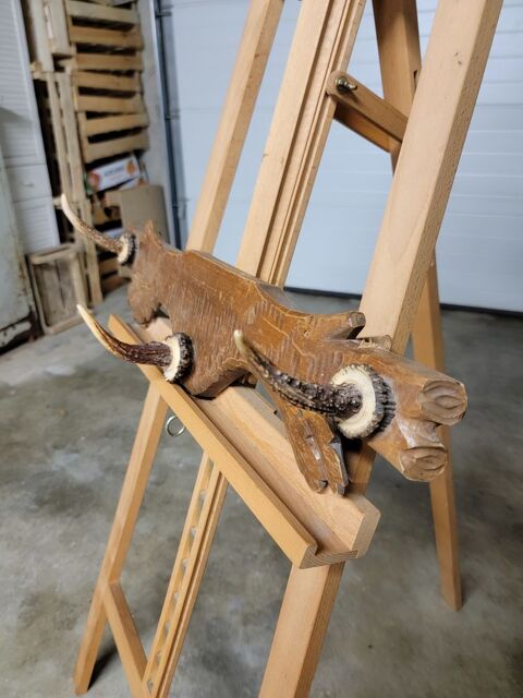 bois de cervid� 30 Donnemarie-Dontilly (77)