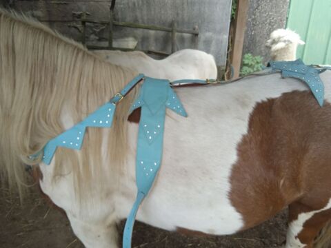 lot de harnais de  cirque  pour poney 88240 Le clerjus