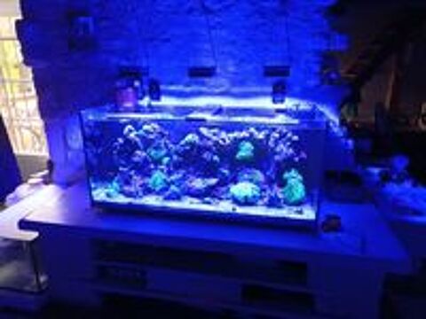   aquarium complet 300l  