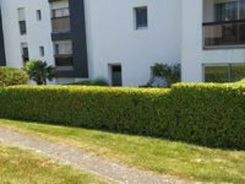   entretien de jardin 