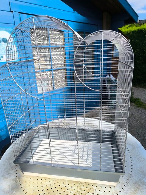 Cage pour Oiseaux 50 71370 Saint-germain-du-plain