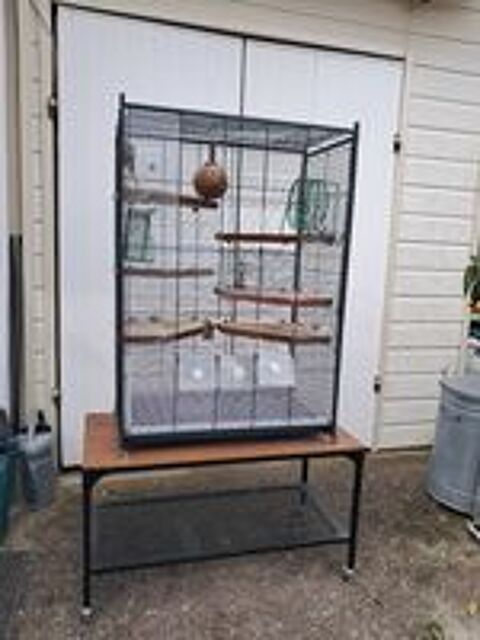   Cage pour gerbilles 