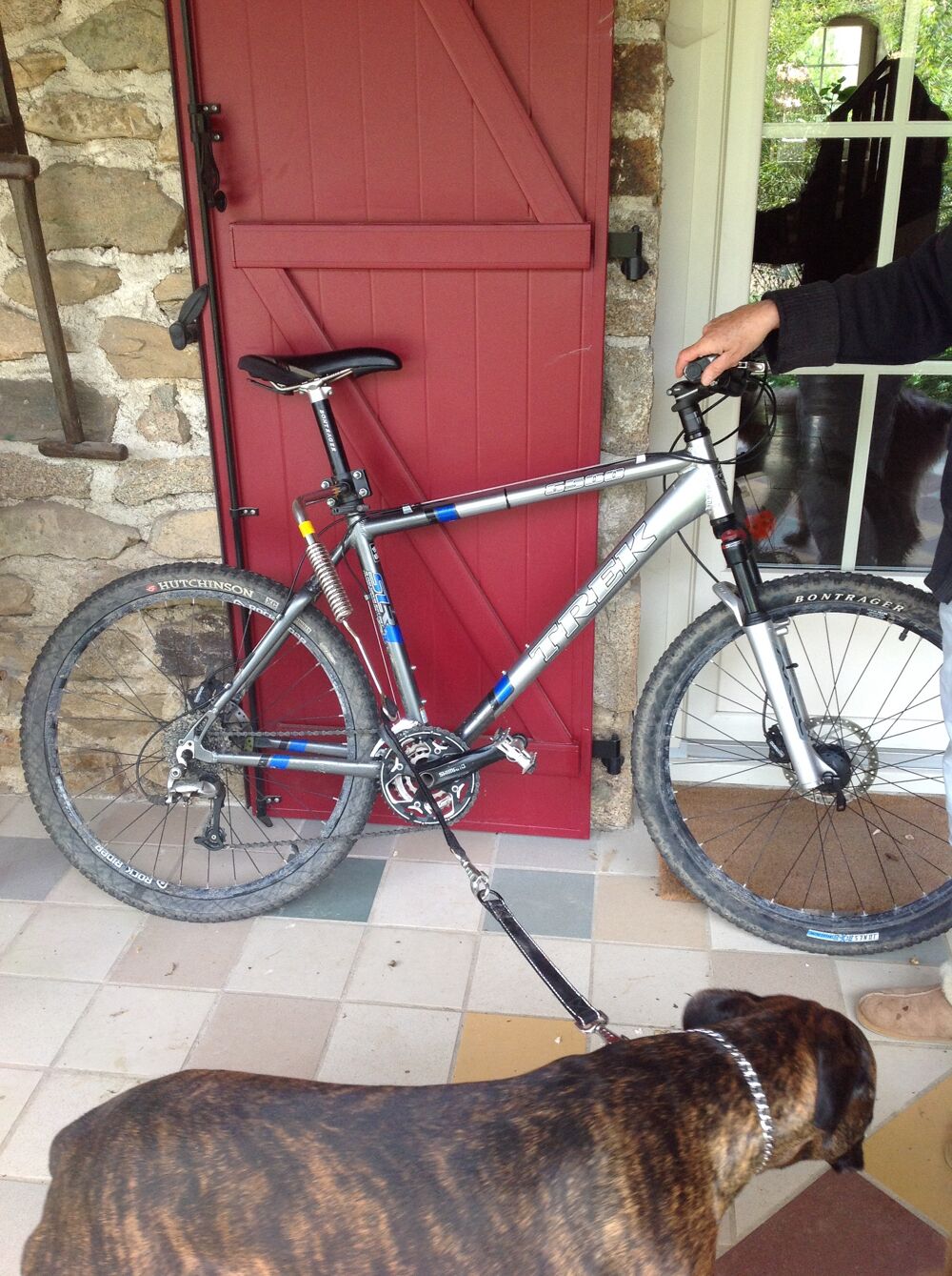 Dog runner Vélos