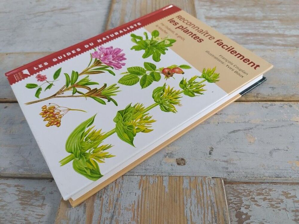 Livre Delachaux Niestl&eacute; Reconnaitre Facilement les Plantes Livres et BD
