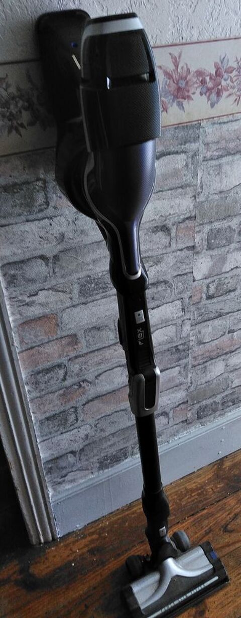 Aspirateur sans fil ROWENTA  XX FLEX  100 Labastide-Rouairoux (81)