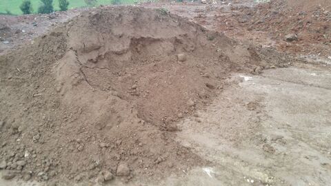 terre vgtale 5 Germond-Rouvre (79)