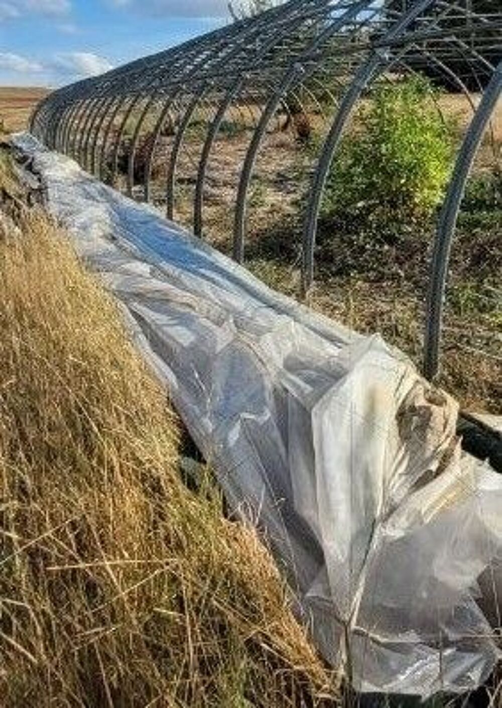 B&acirc;che de serre Jardin