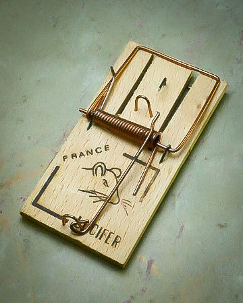 Tapette  souris  LUCIFER  neuve 5 Montargis (45)