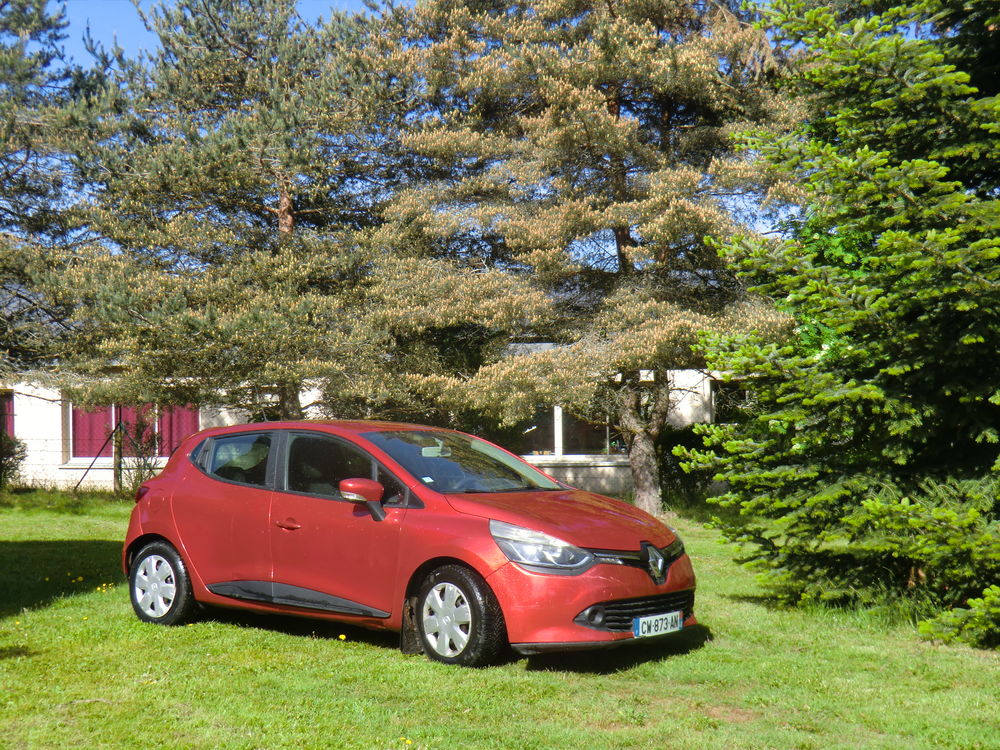 Clio IV dCi 90 Energy eco2 Business 90g 2013 occasion 48600 