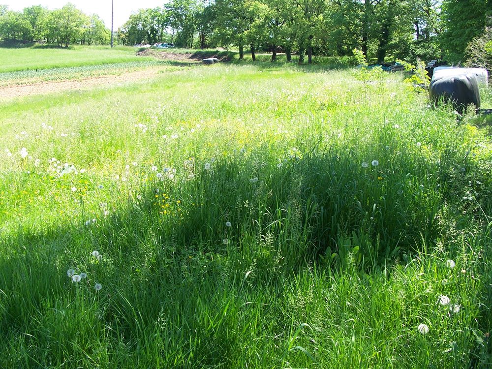   grand  jardin  avec   puits a la  campagne 
