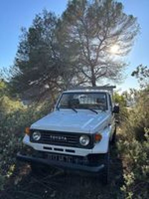 Land Cruiser HZJ 75 1993 occasion 06510 Gatti&egrave;res