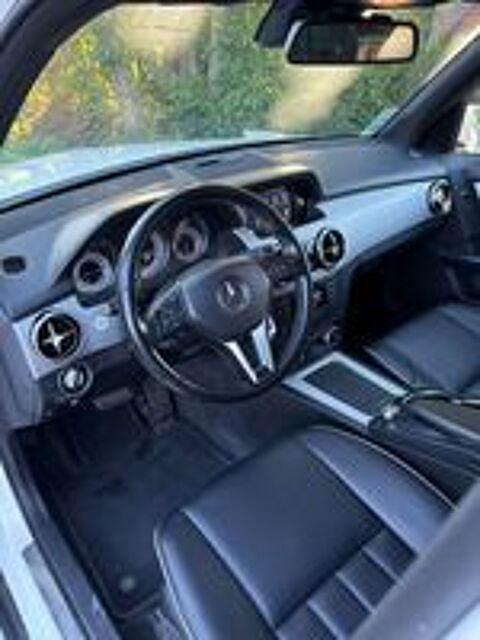 Classe GLK 350 BlueEFFICIENCY Fascination 4Matic A 2012 occasion 31350 Cast&eacute;ra-Vignoles