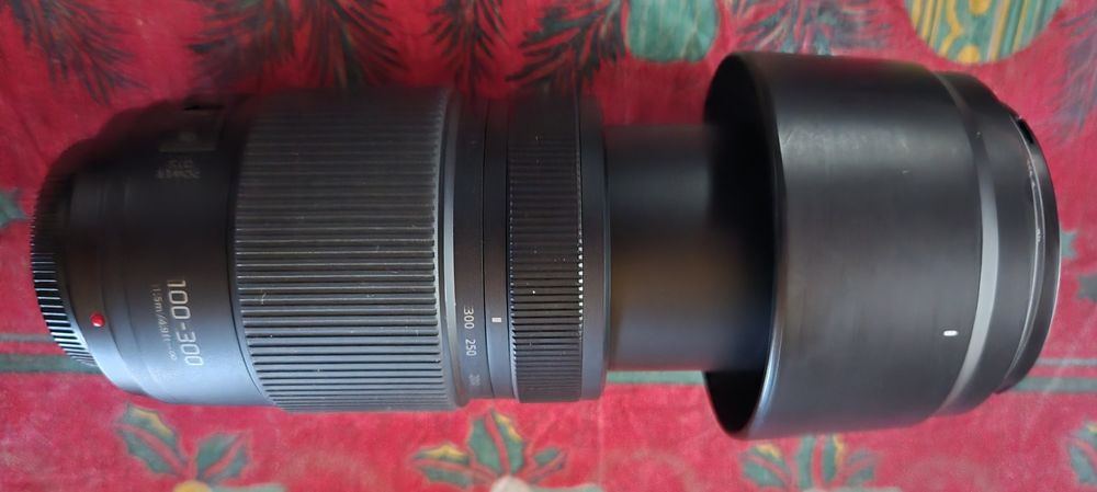 T&eacute;l&eacute;objectif Lumix 100-300 Photos/Video/TV