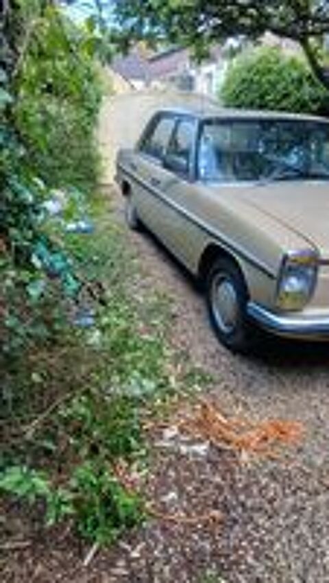 200 d 1974 occasion 10160 Maraye-en-Othe