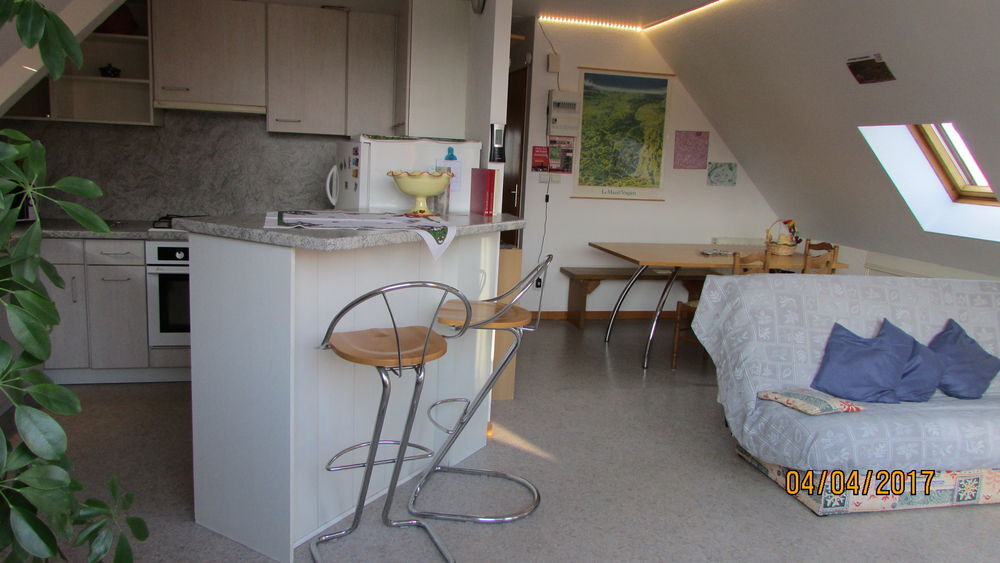   COLMAR mignon logement  toute saison 4 a6 personnes Alsace, Wintzenheim (68920)