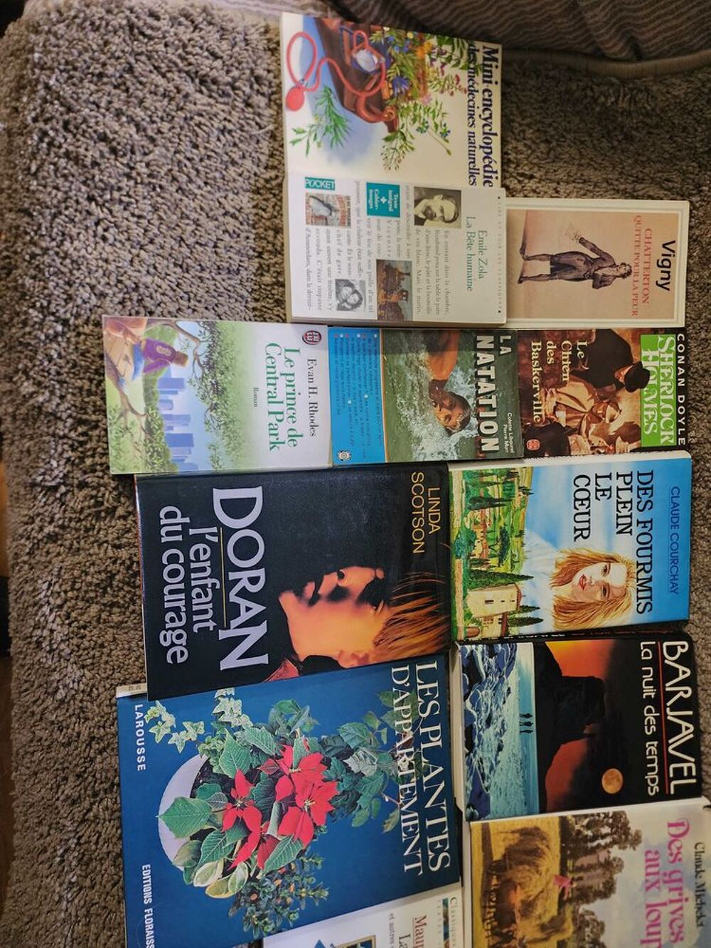 divers livres Livres et BD