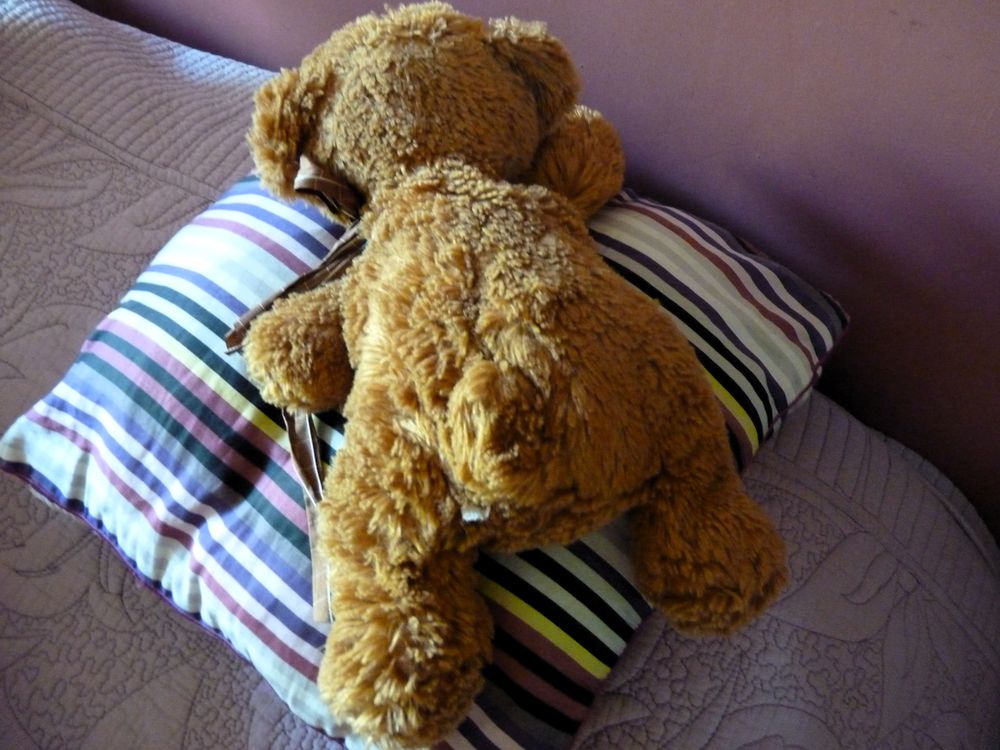 Ours en peluche doudou enfant decoration chambre jouet anima Puériculture