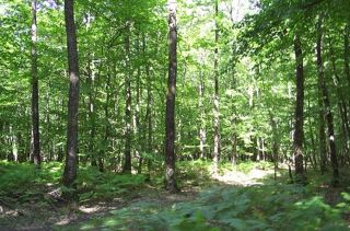  Chalet � vendre 1 pi�ce 18 m�