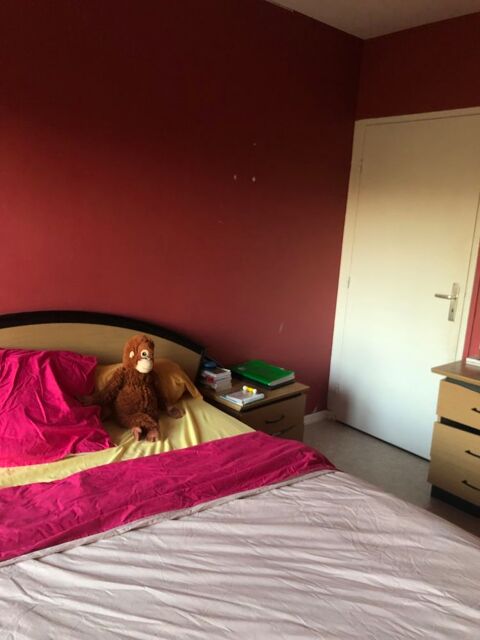 Chambre 390 Schiltigheim (67)