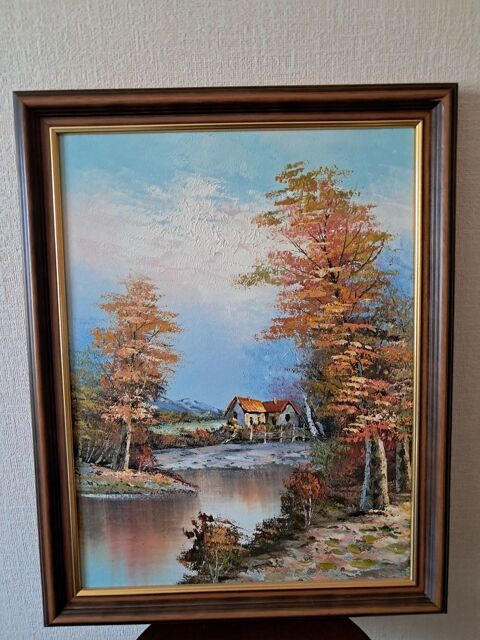 Joli cadre peinture sur toile 35 Creil (60)