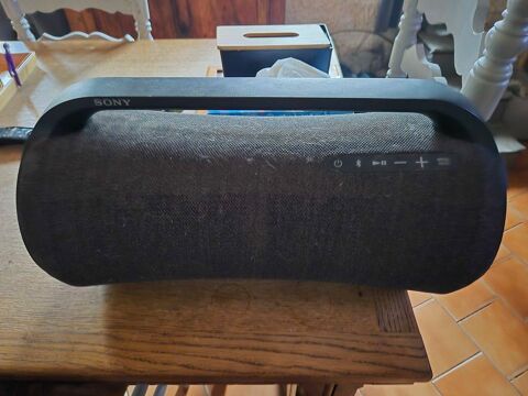 Enceinte portable Sony 250 Aydat (63)