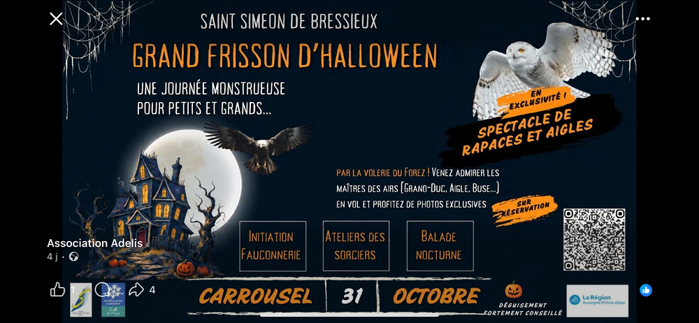 Halloween Bourse des collections