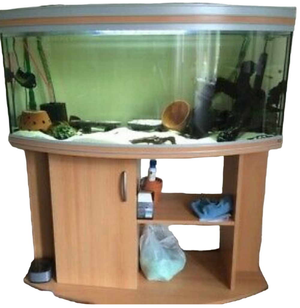 Ensemble meuble + aquarium RENA 260 L +accesoires Décoration