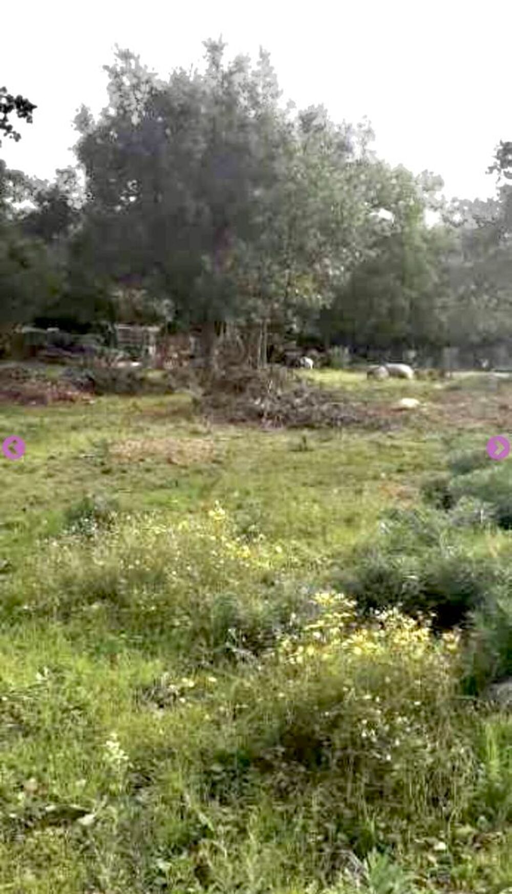 Vente Terrain Terrain de 1780 m² à Argelès : Autonomie et commodités Argelès-sur-mer