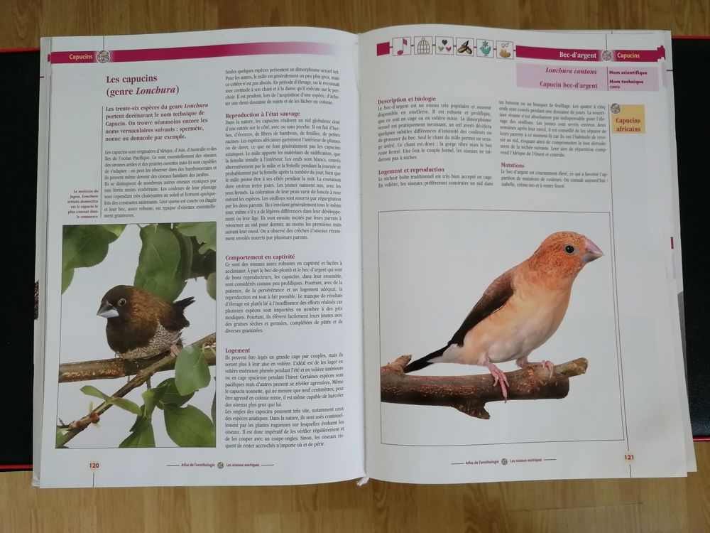 Les oiseaux exotiques Vol 2 Livres et BD