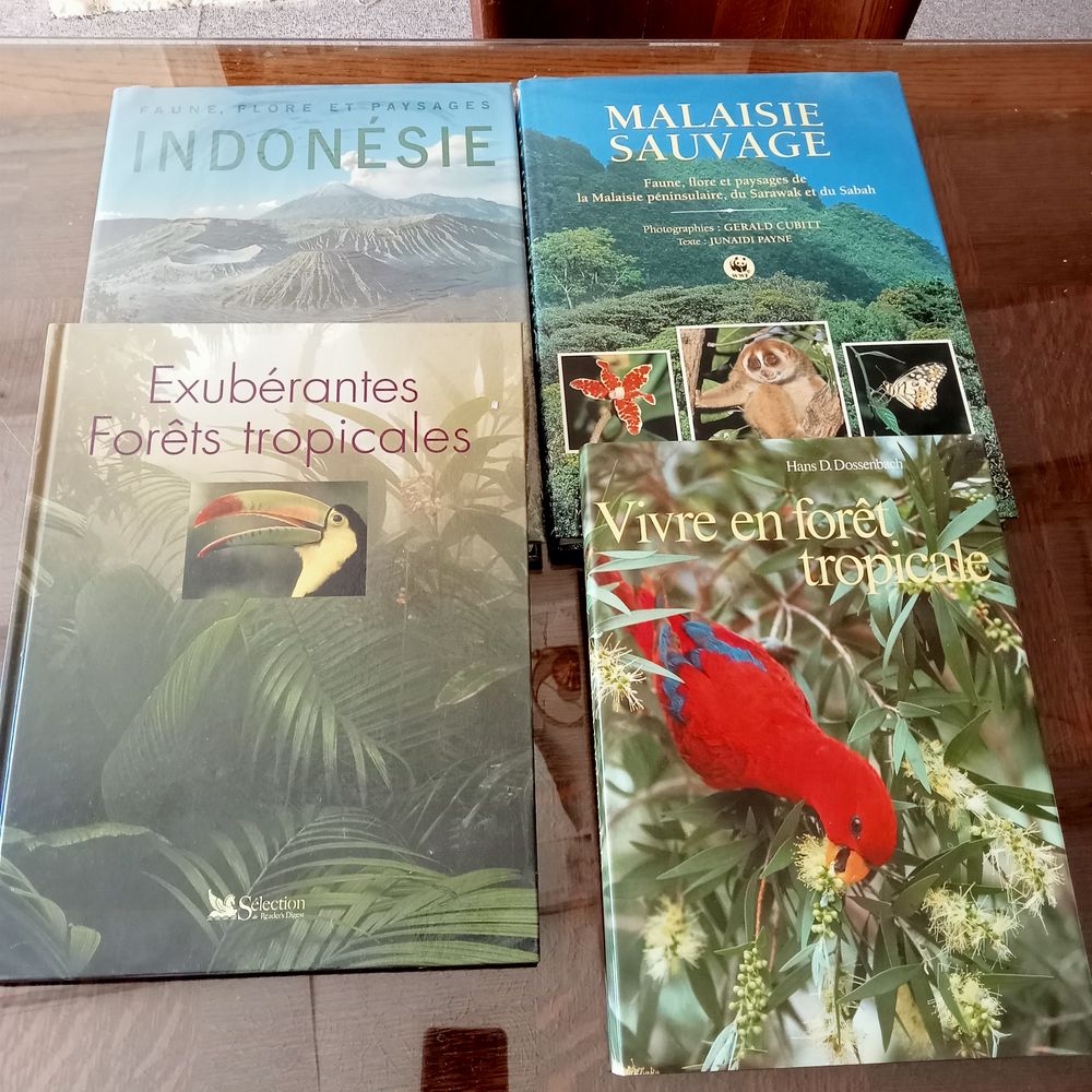 4 albums, l'Indon&eacute;sie, la Malaisie et 2 albums sur la for&ecirc;t Livres et BD
