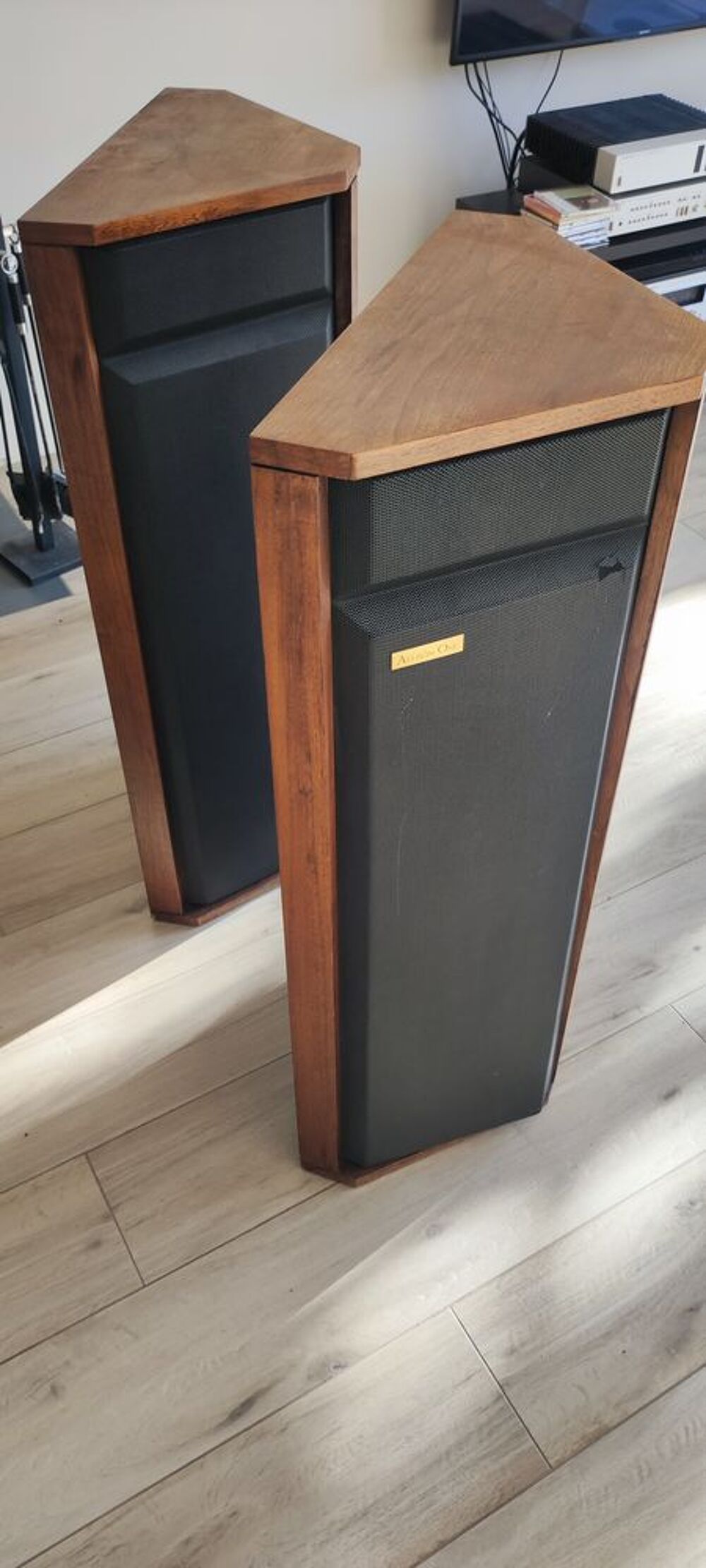 Enceintes haut de gamme Allison one vintage Audio et hifi