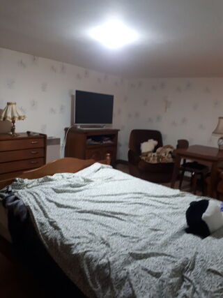  Chambre à louer 1 pièce 16 m²