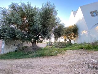  Terrain � vendre 250 m� Hammamet, tunisia
