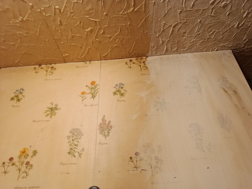   Cherche personne pour travaux a domicile rénovation  