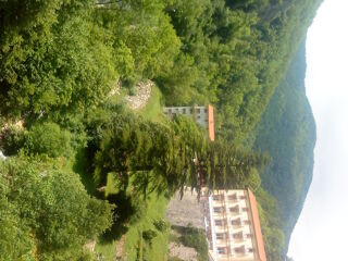 Location  Appartement 