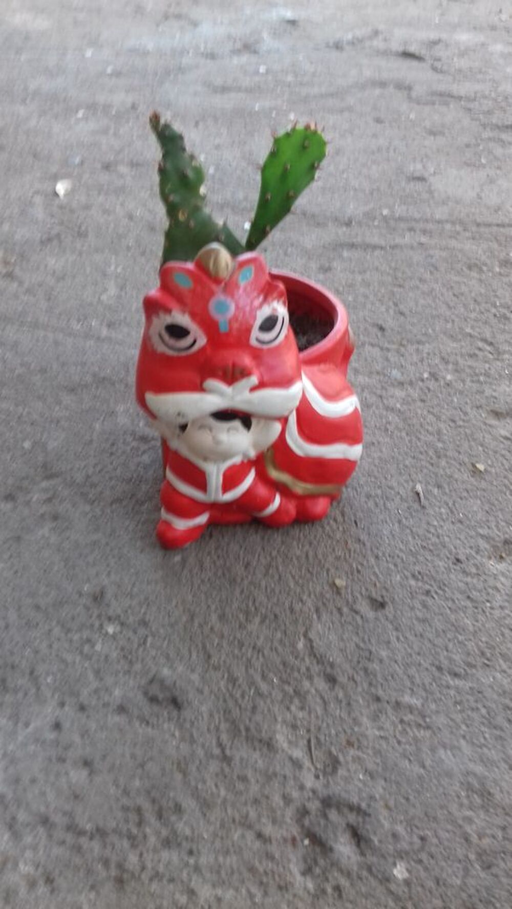 MINI POT de CACTUS FORME DRAGON Jardin