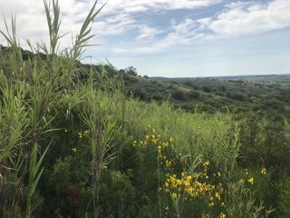  Terrain � vendre 11000 m�