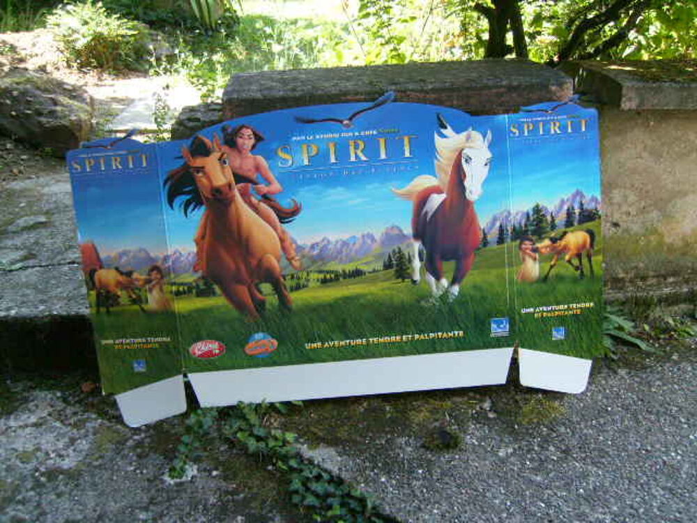 Affiche du film" SPIRIT " 