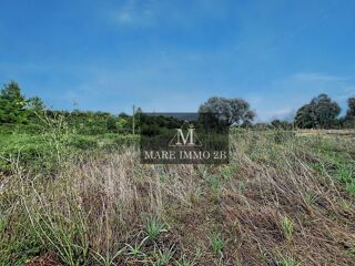 Vente Terrain Terrain constructible de 978m² hors lotissement Calvi
