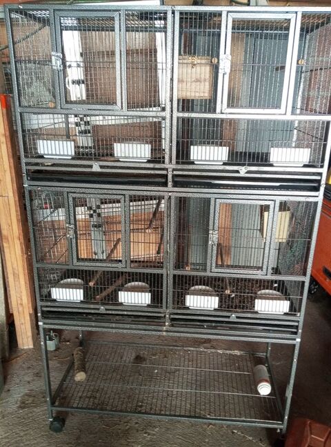Voli&egrave;re perroquets ou perruche 300 82100 Lafitte