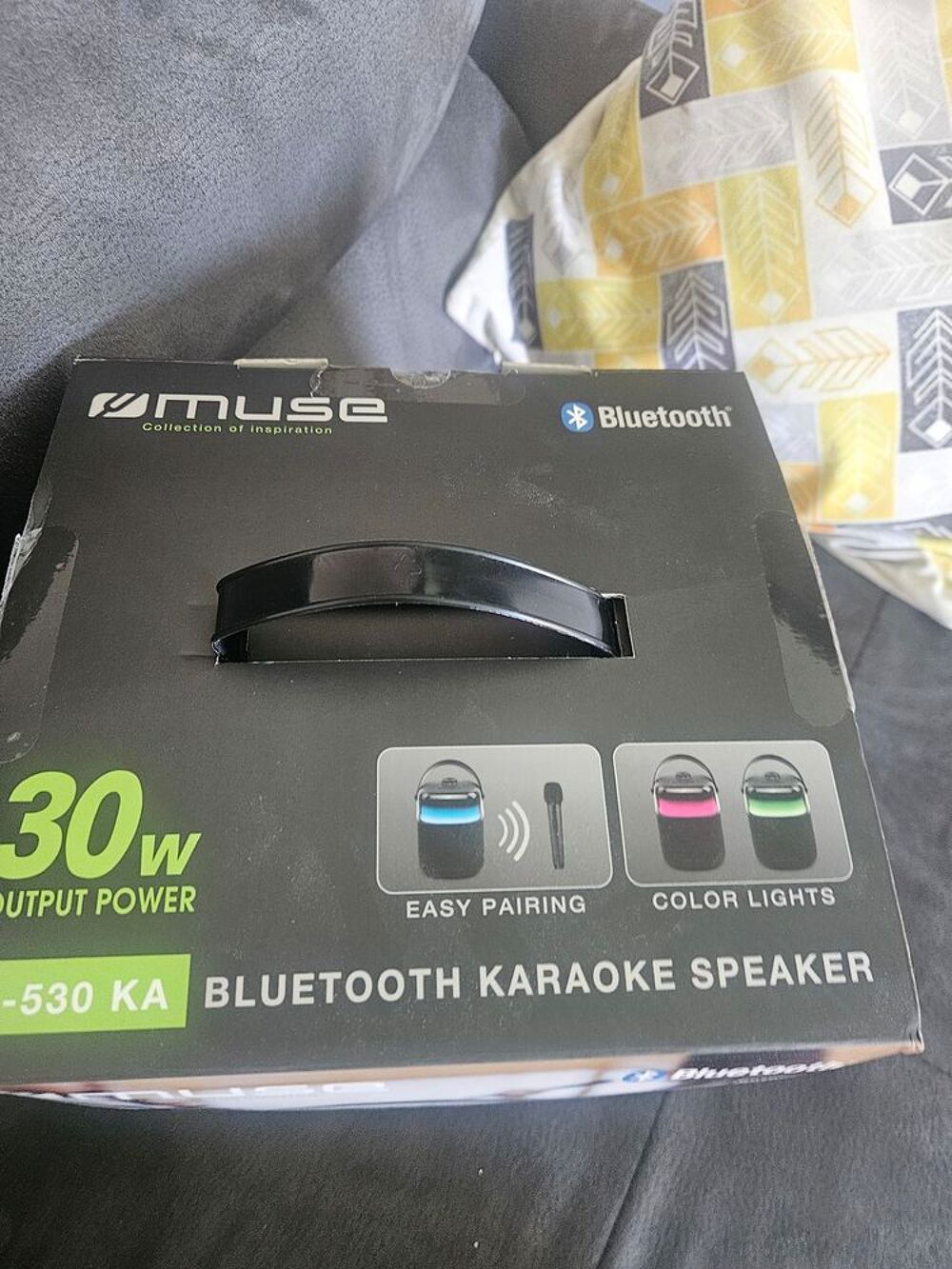 Karaoke avec 2 Micro Audio et hifi