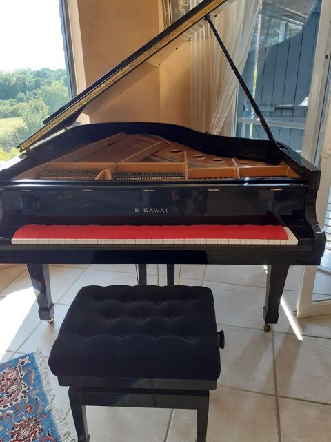piano  queue Kawa 10000 Jully-ls-Buxy (71)