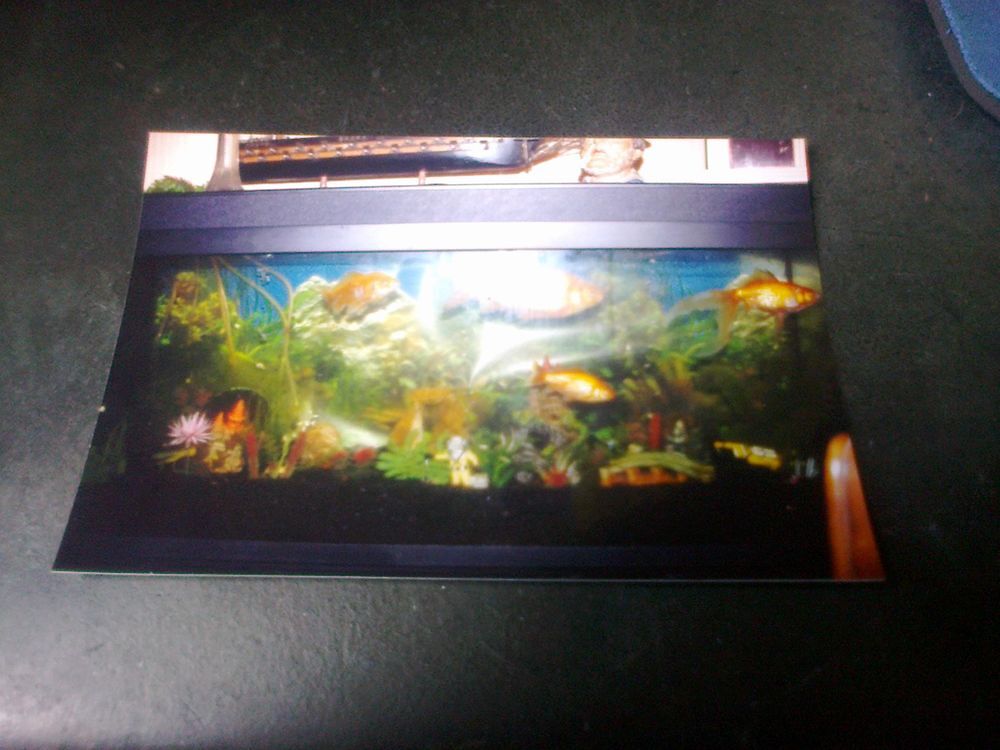 aquarium Décoration