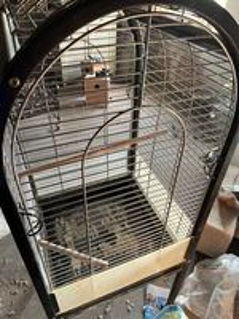   cages à oiseaux 